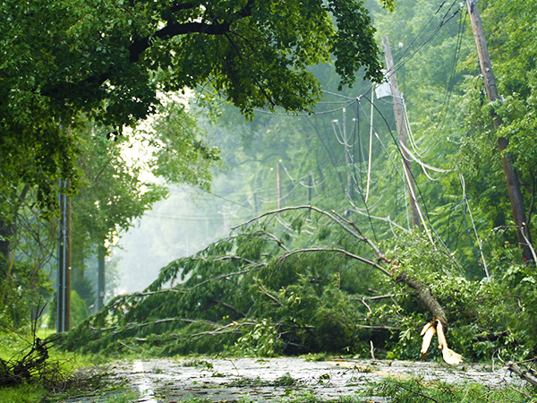 Storm Damage Cleanup PB CTA Image 2