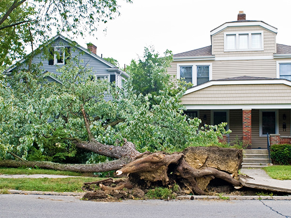 Storm Damage Cleanup PB CTA Image 3