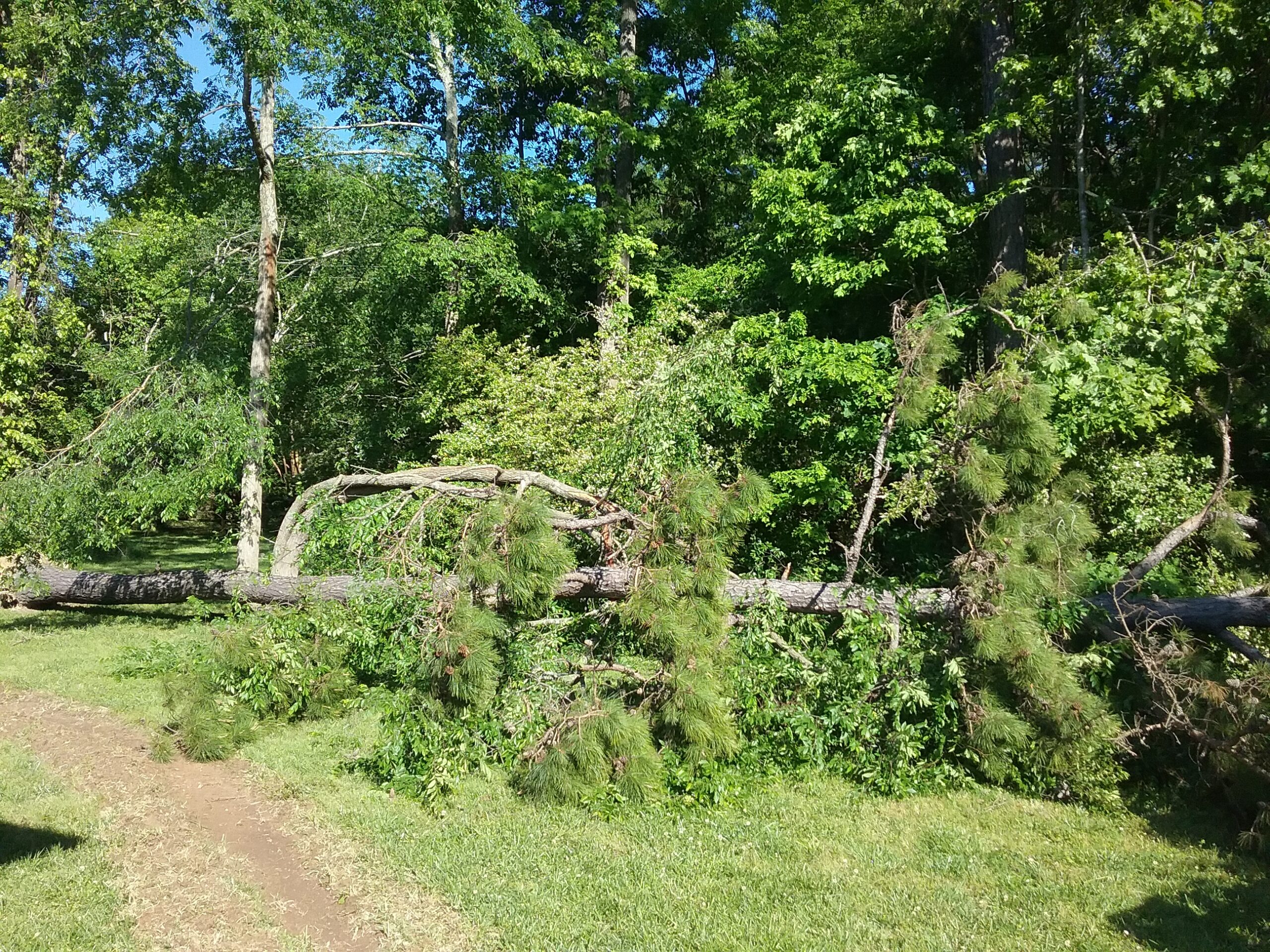 storm damage