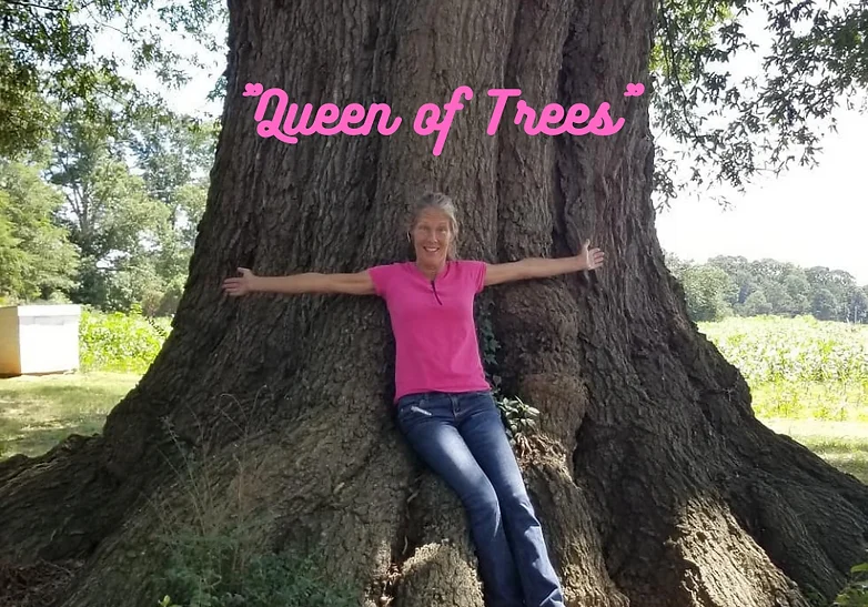Queen of Trees (2)